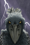 Shoebill