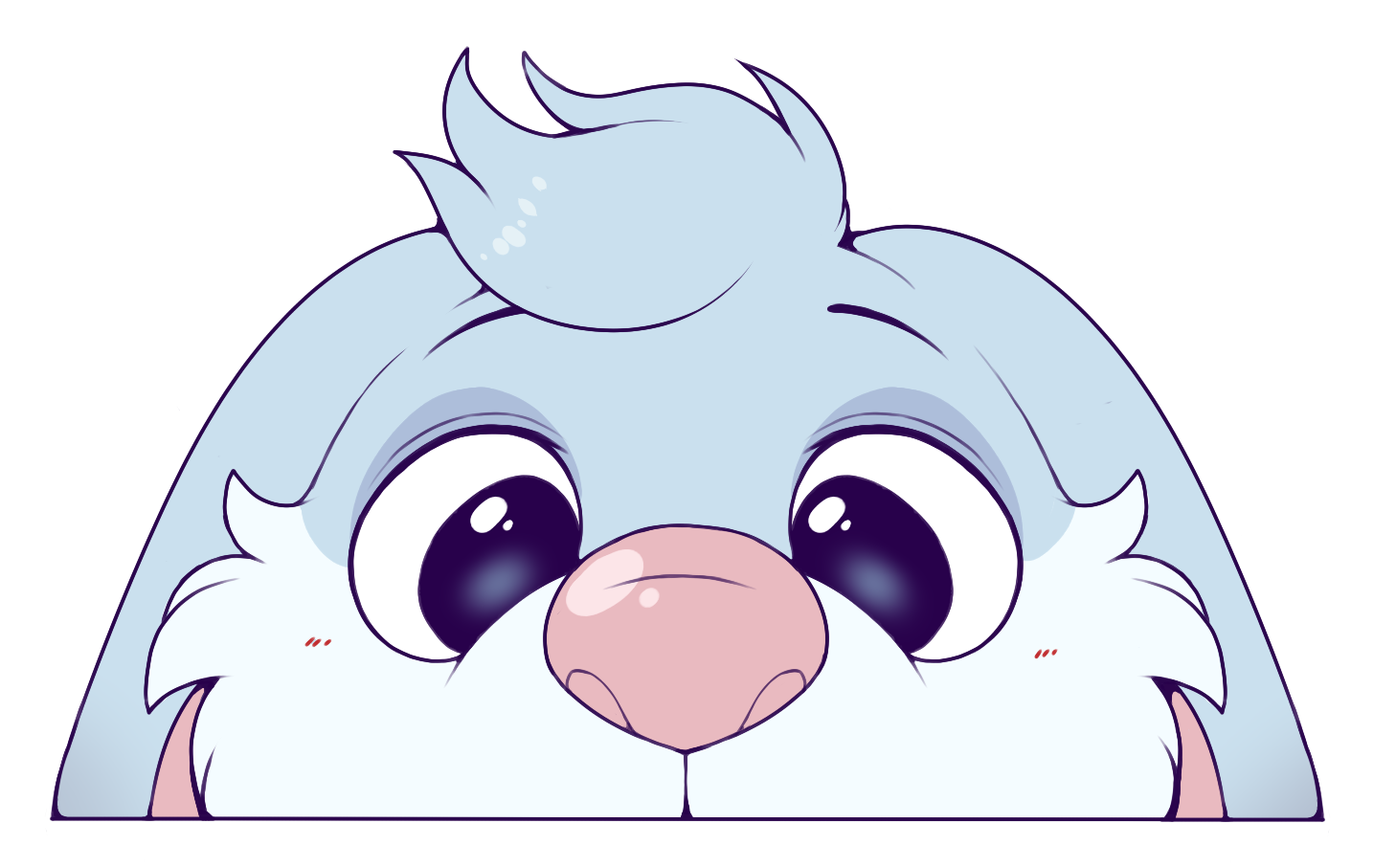 Peek Banner _2230