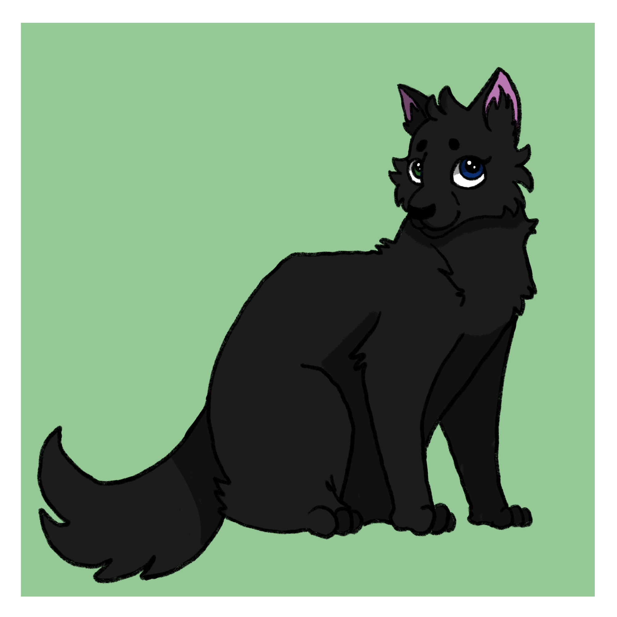 Black Cat_1200