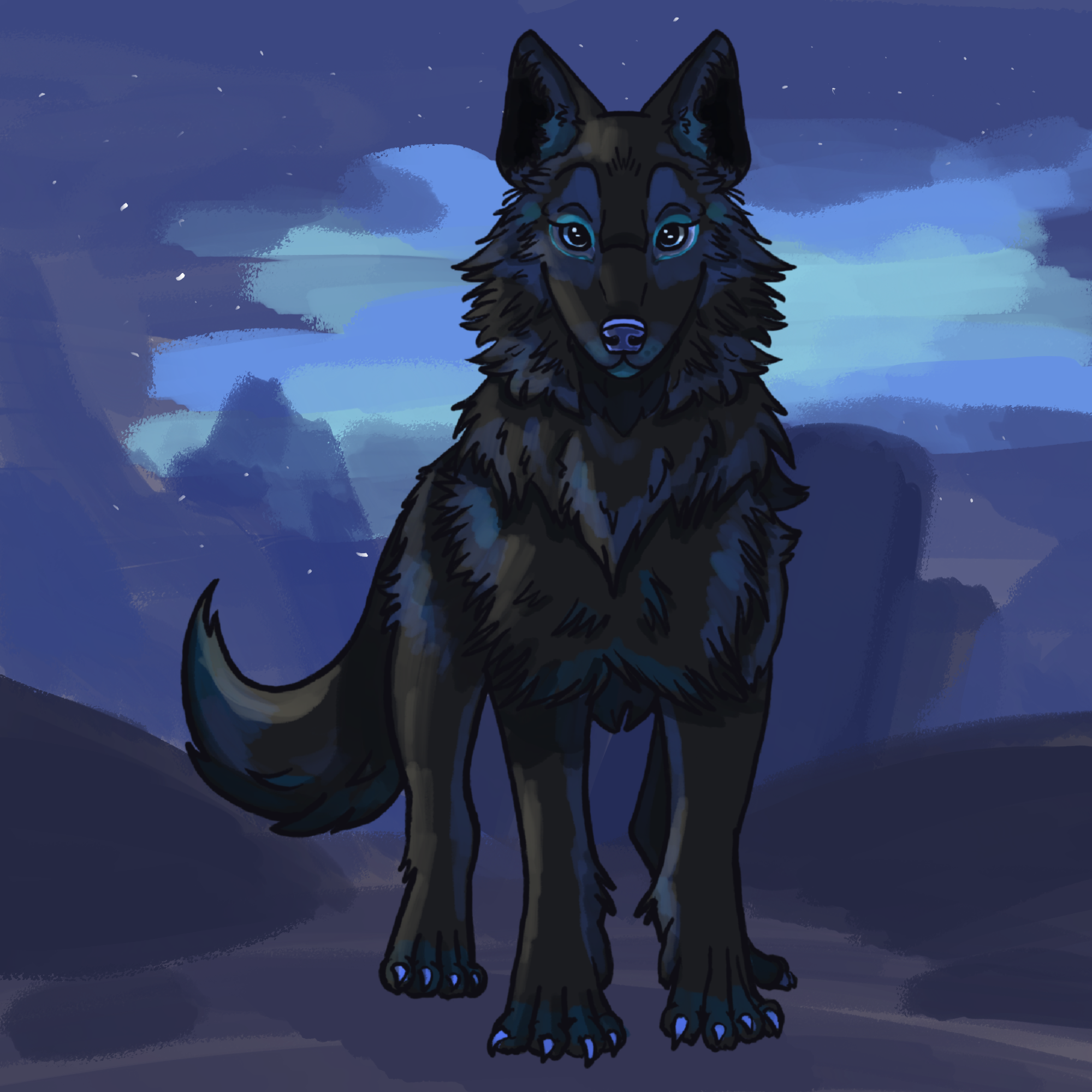 Black Wolf_1203