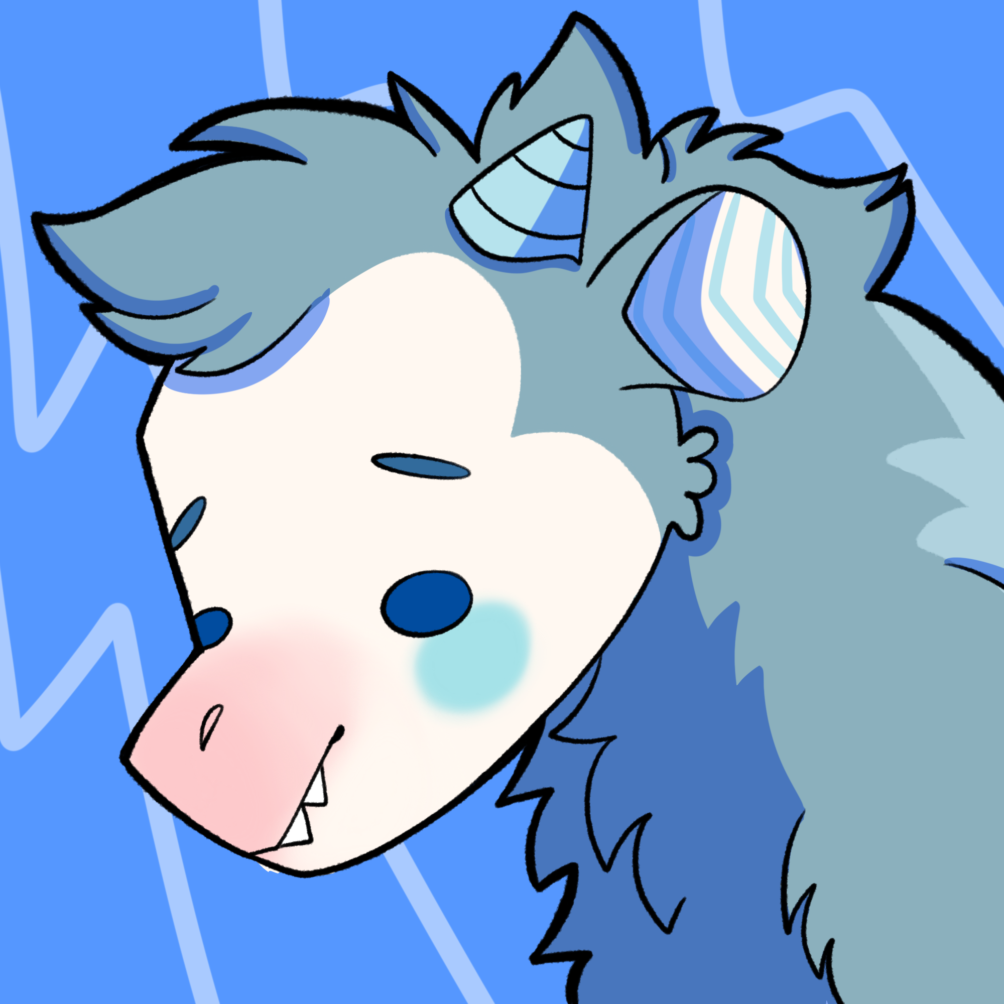 Possum_1260
