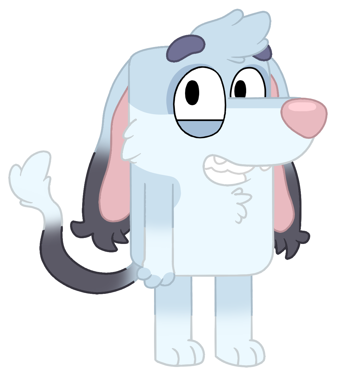 Bluey Form_1551