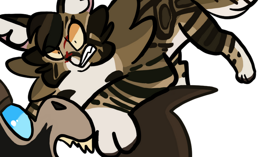 Cat Fight_1118