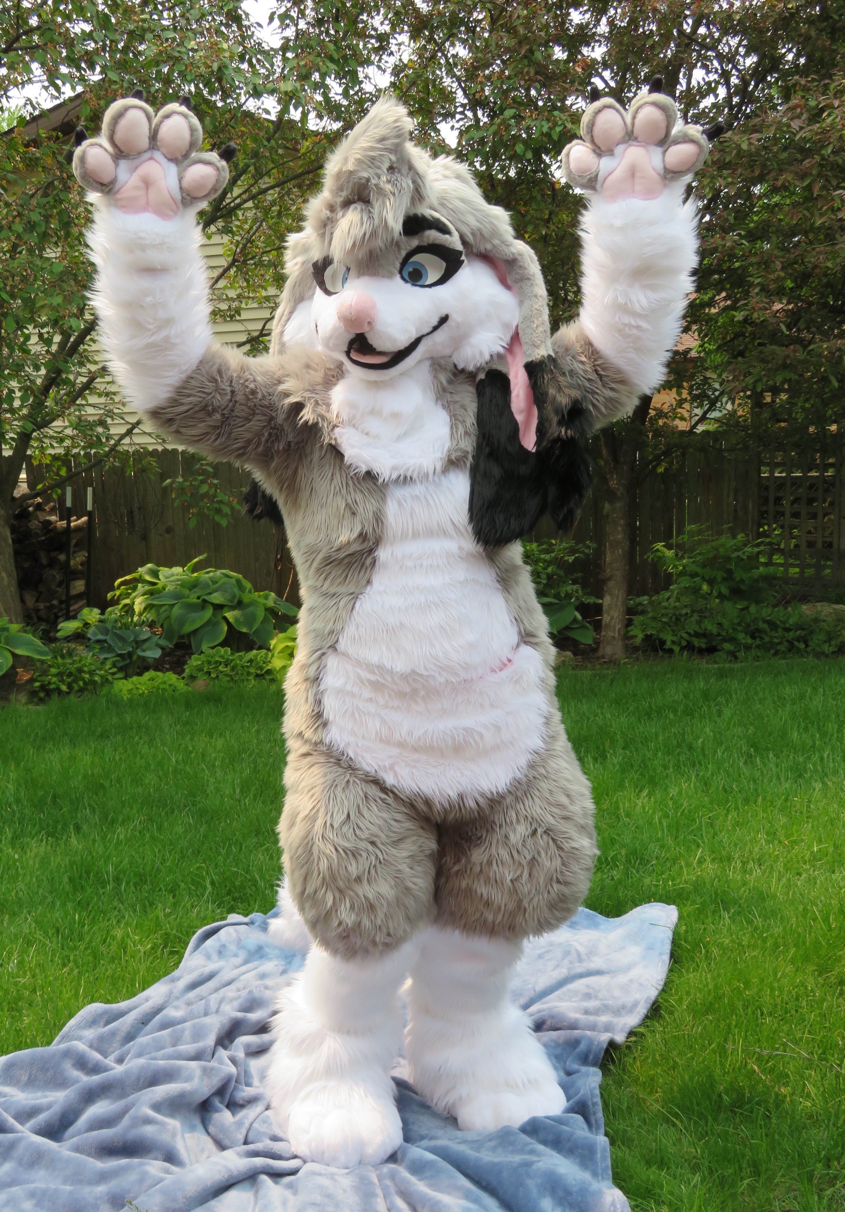 Ry Fursuit_1689