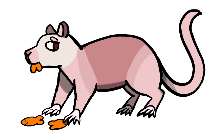 Rat_1126