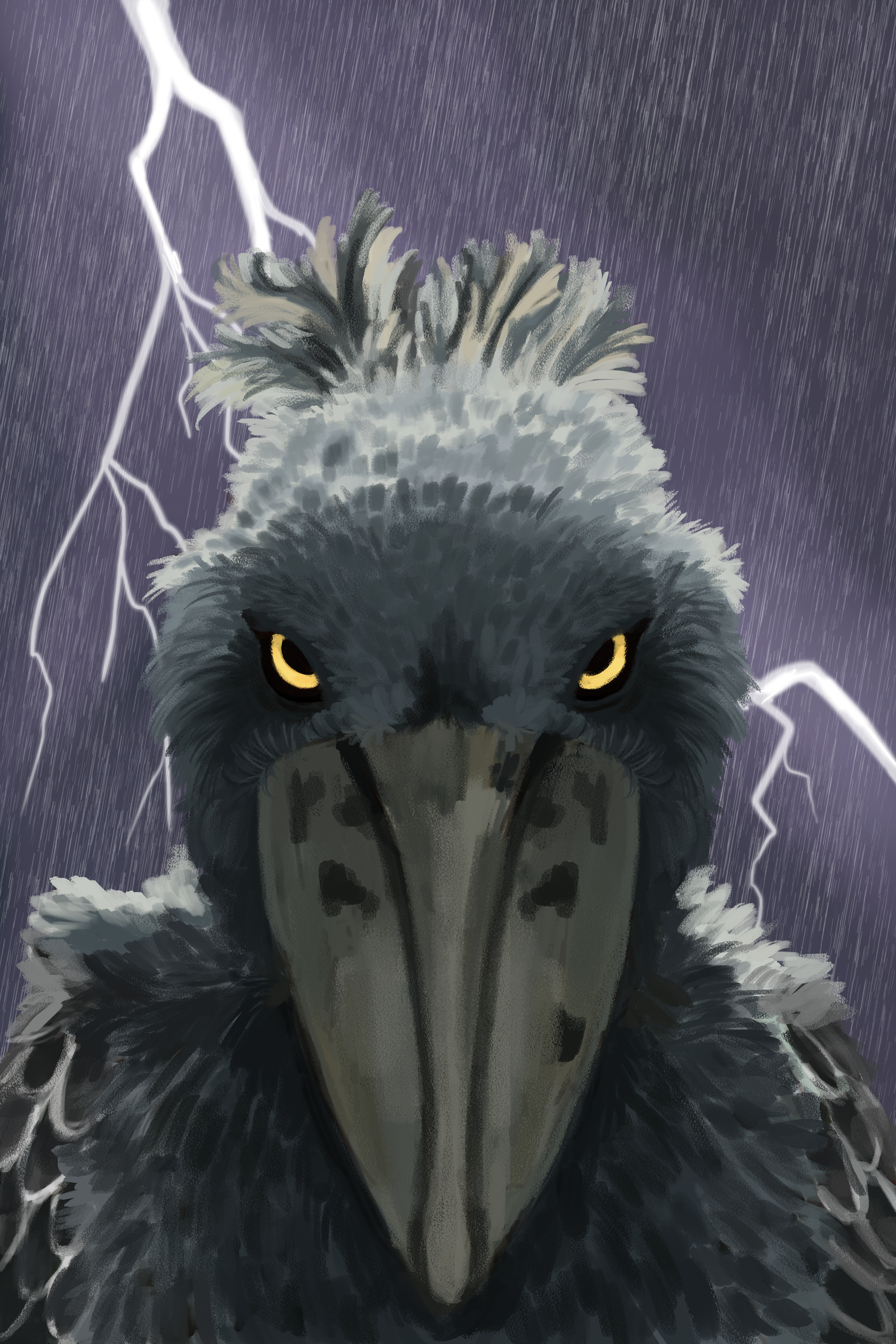 Shoebill_1129