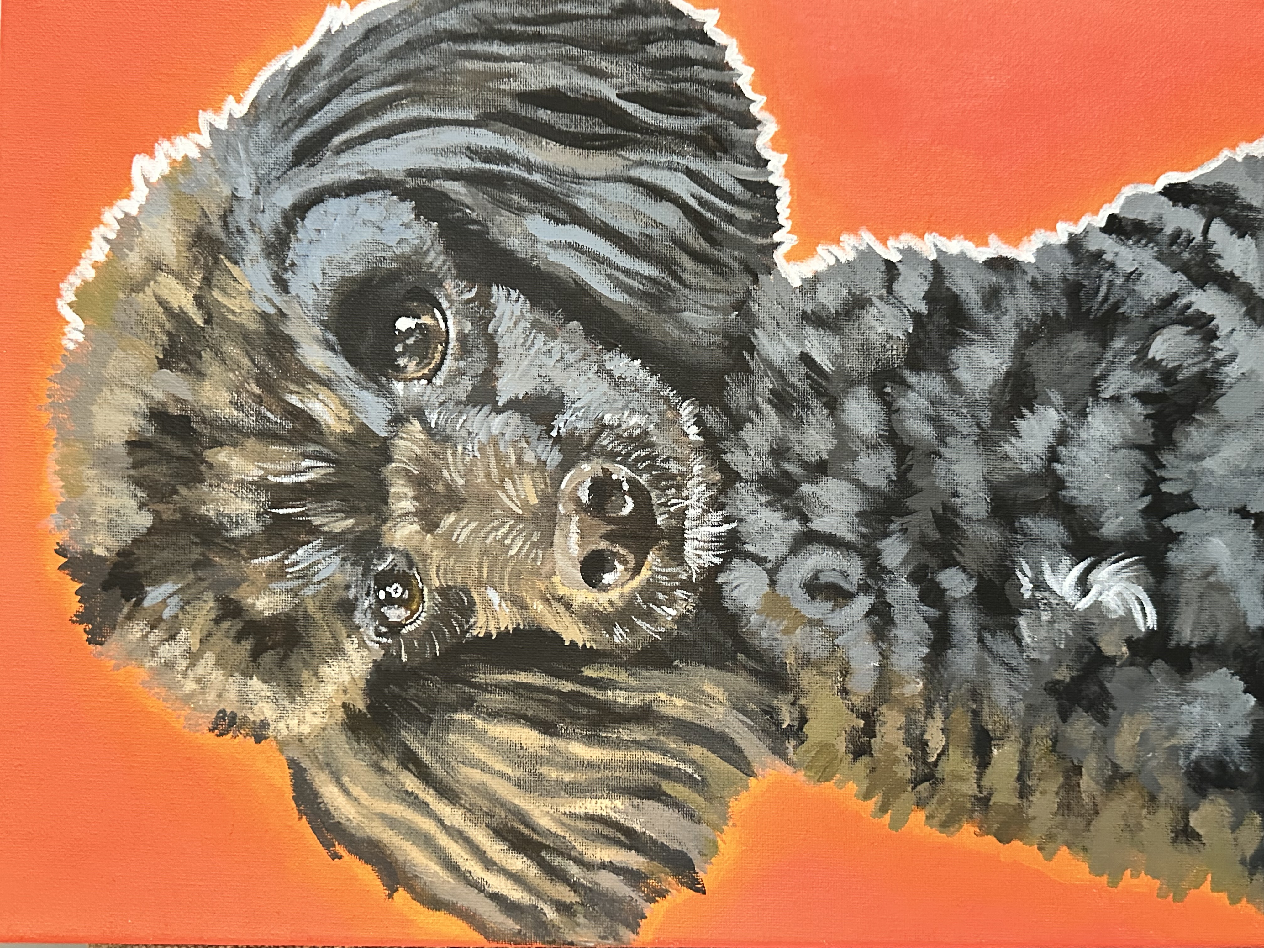 Danny Painting_1780
