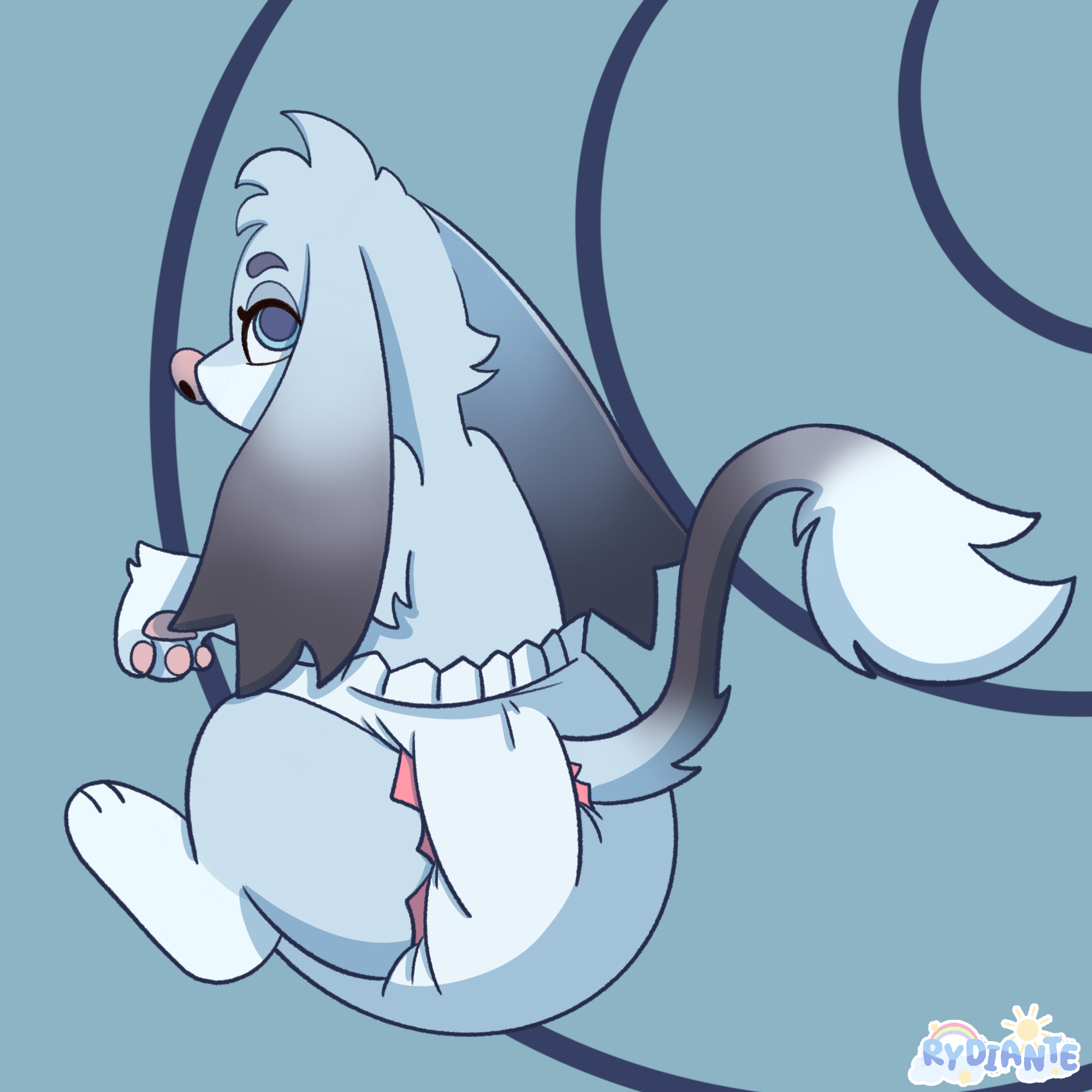 Ry Snark_1849