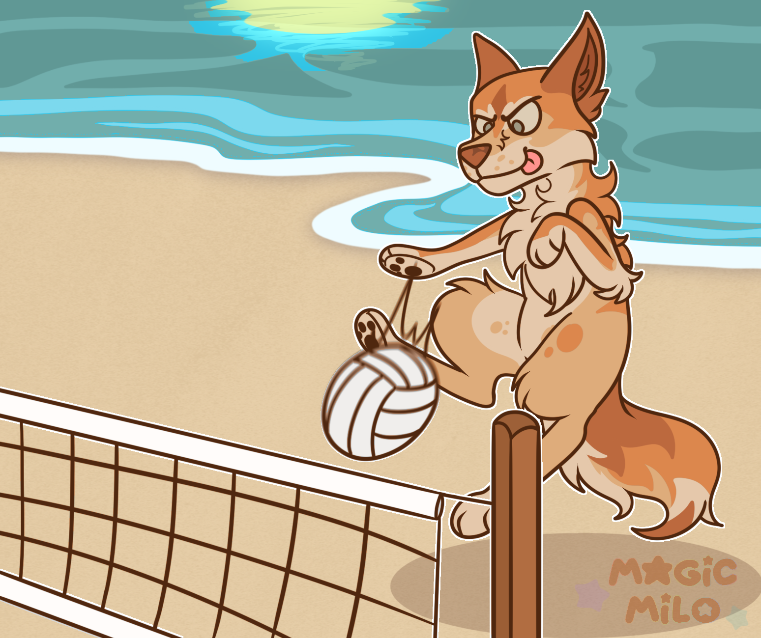 Volleyball _1874