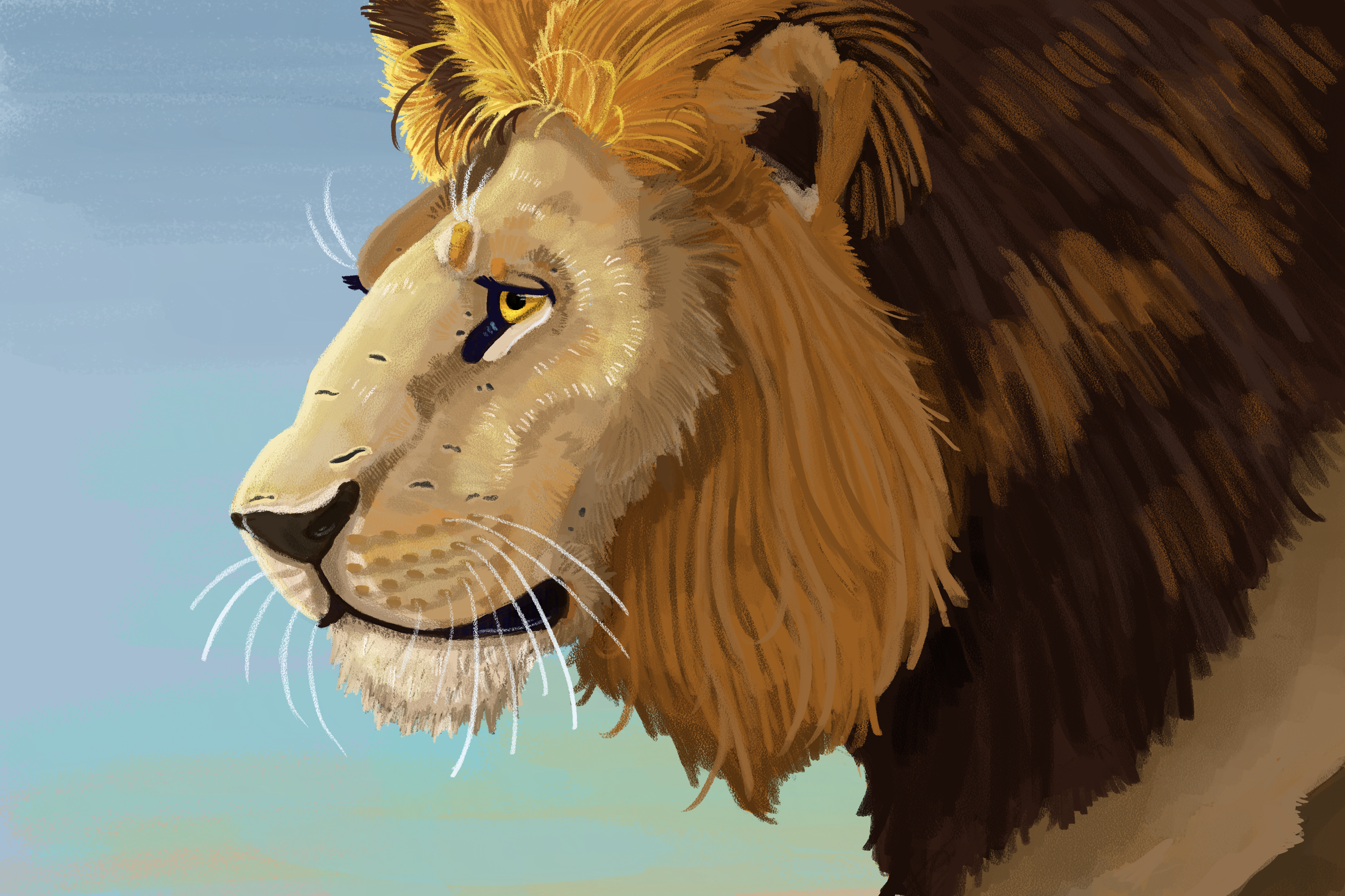 Lion Head 2_1159