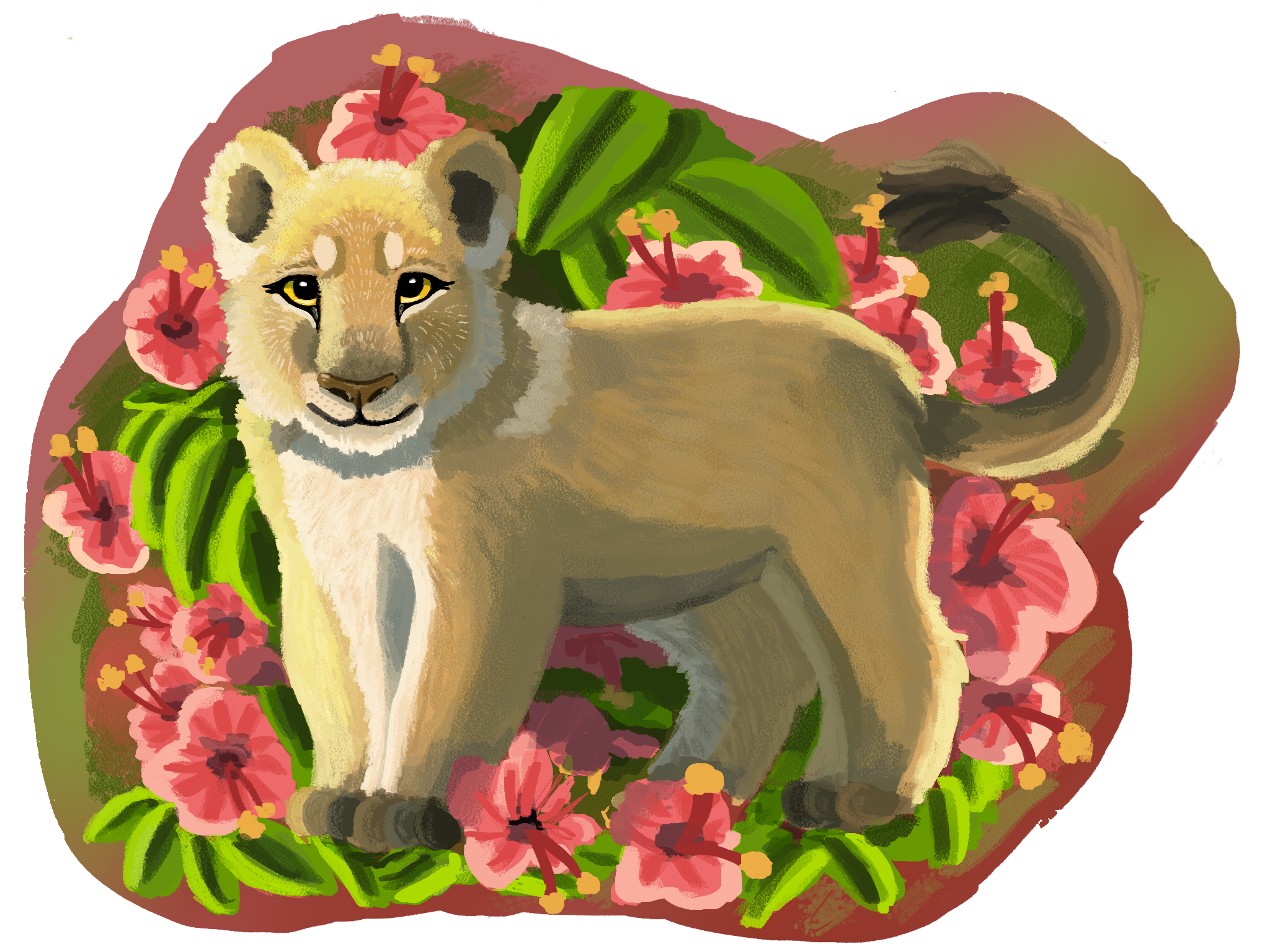 Lion Cub_1160